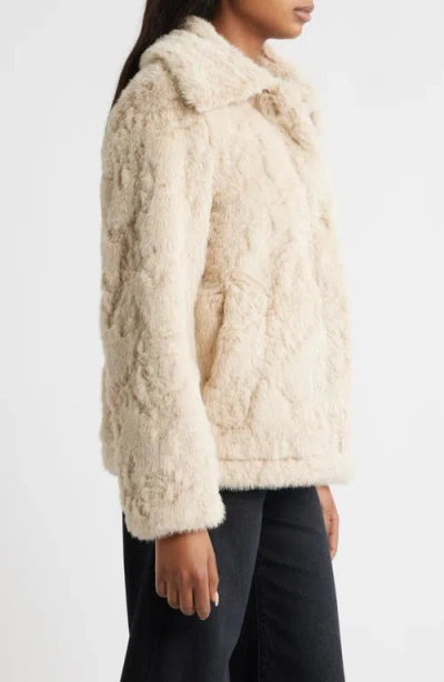 Sam Edelman Butter Teddy Jacket In Brown