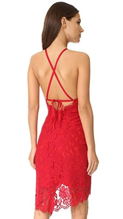 Shop Lover Affinity Halter Dress In Scarlet