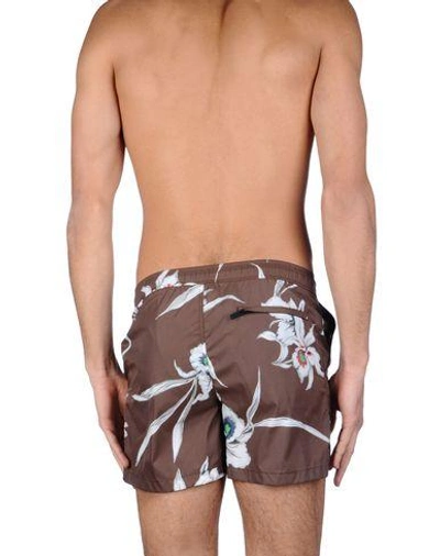Shop Valentino Swim Shorts In Cocoa