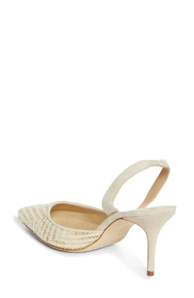 Manolo Blahnik Carolyne Woven Raffia Slingback Pump In Neutral