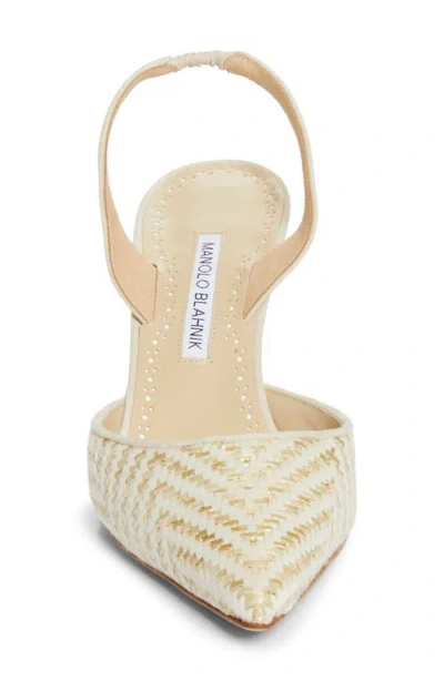 Manolo Blahnik Carolyne Woven Raffia Slingback Pump In Neutral