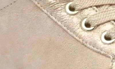 Ara Mikky Platform Sneaker In Multi