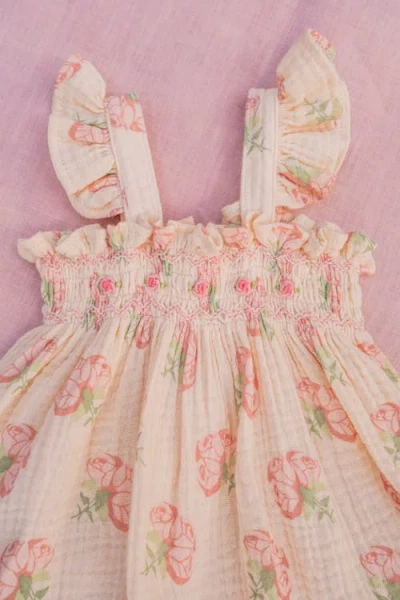 Wild Wawa Flutter Set In Multi