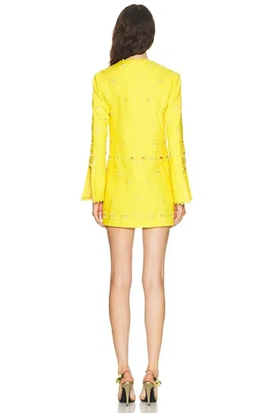 Alexis Eulia Mini Dress In Yellow In Multi