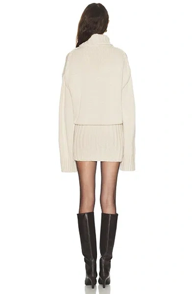 Same Knit Mini Dress In Brown