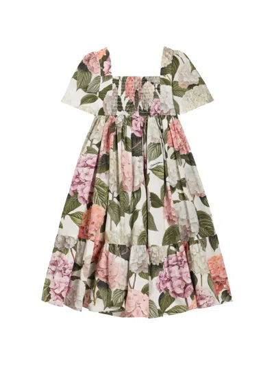Dolce & Gabbana Hydrangea-print Poplin Dress In Multi
