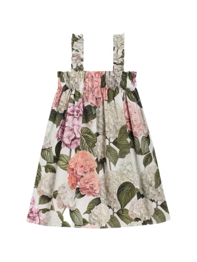 Dolce & Gabbana Hydrangea-print Poplin Dress In Green