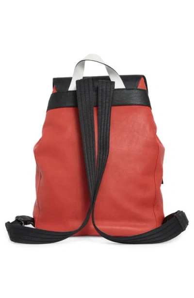 Longchamp 3d Colorblock Backpack In Brown