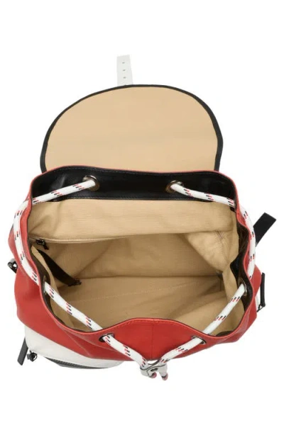 Longchamp 3d Colorblock Backpack In Brown