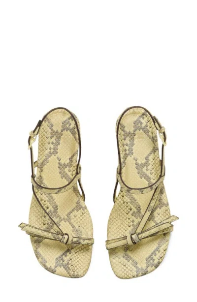 Kate Spade New York Loop Metallic Ankle Strap Sandal In Gold