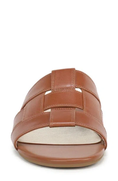 Vionic Glendora Slide Sandal In Brown