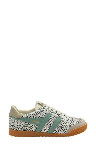 Gola Elan Sneaker In Multi