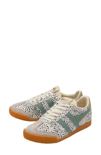 Gola Elan Sneaker In Multi