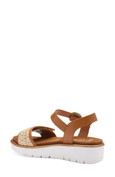 Ara Bloom Ankle Strap Sandal In Brown