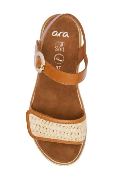 Ara Bloom Ankle Strap Sandal In Brown