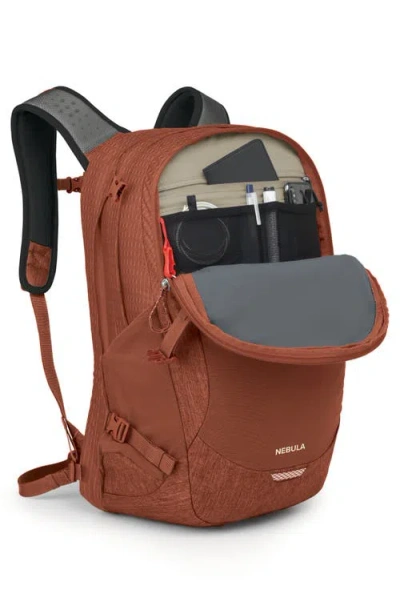 Osprey Nebula 32-liter Backpack In Brown