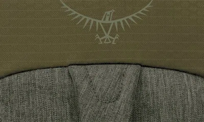 Osprey Comet Backpack In Green