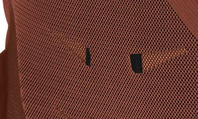 Osprey Daylite Plus Backpack In Brown