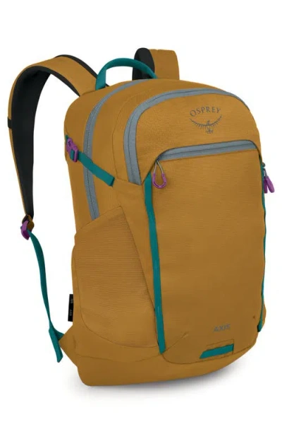 Osprey Axis 24-liter Backpack In Brown