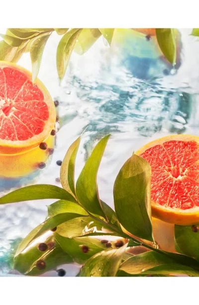 Roja Elysium Eau Intense Eau De Parfum In Blue