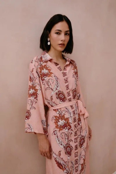 Raishma Sasha Pink Dress In Multi