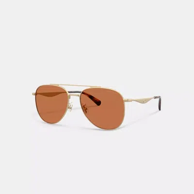 Coach C Hardware Metal Pilot Sunglasses In Brown