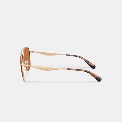 Coach C Hardware Metal Pilot Sunglasses In Brown