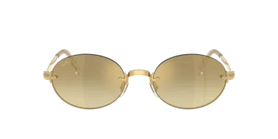 Ray Ban Ray In Brown