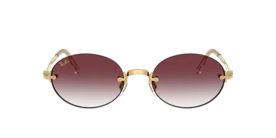 Ray Ban Ray In Brown