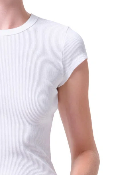 Agolde Bryce Cap Sleeve Tee In Cholla In Multi