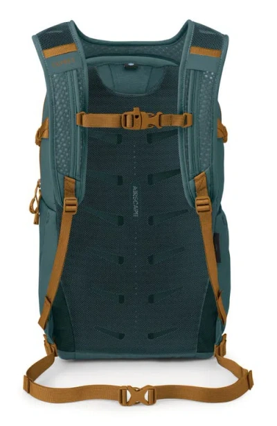 Osprey Daylite Plus Backpack In Green