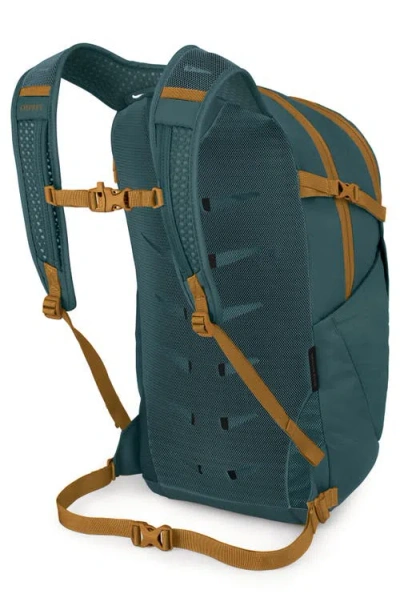 Osprey Daylite Plus Backpack In Green