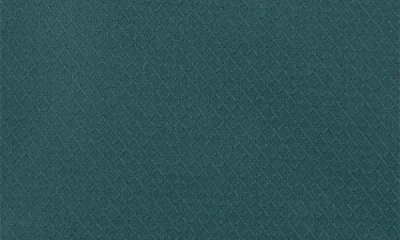 Osprey Daylite Plus Backpack In Green