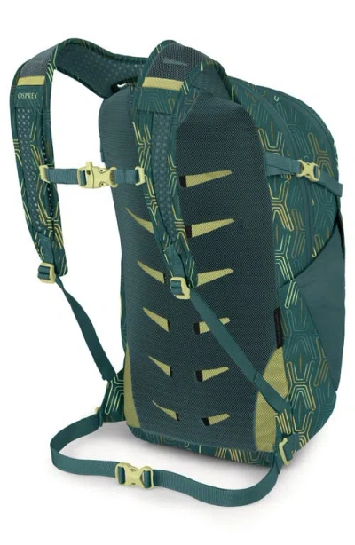 Osprey Daylite Plus Backpack In Green