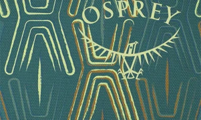 Osprey Daylite Plus Backpack In Green