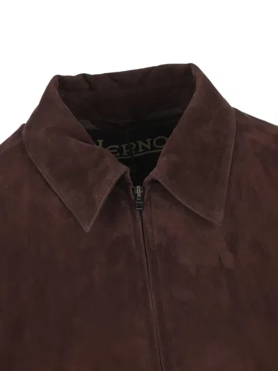 Herno Suede Zip Jacket In Brown