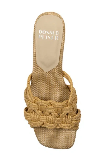 Donald Pliner Raffia Kitten Heel Slide Sandal In Brown