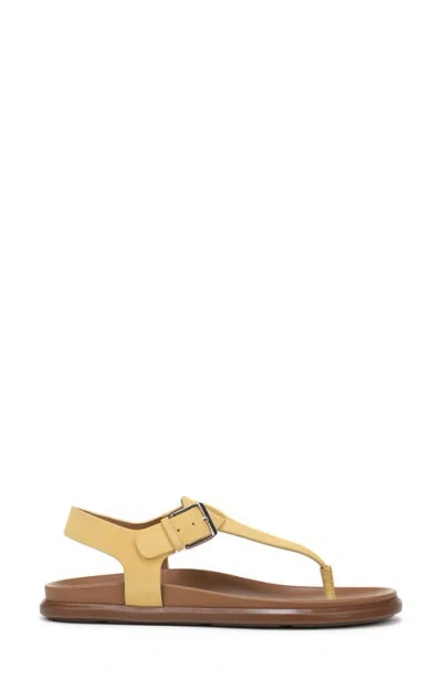 Naturalizer Fab Flat Sandal In Yellow