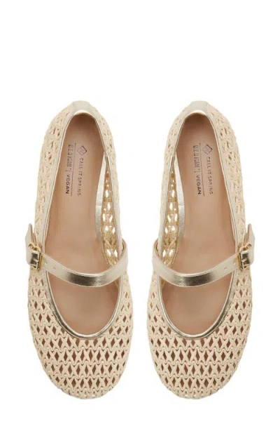 Call It Spring By Aldo Elyiaa Net Mary Jane Flat In Multi