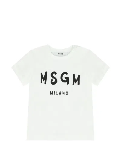 Msgm Logo-print Shorts Set In White