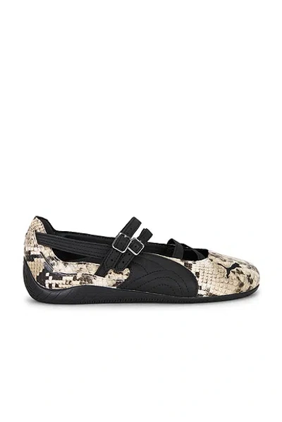Puma Speedcat Ballet Snake Woman Black And Beige