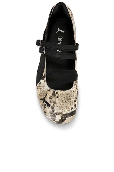 Puma Speedcat Ballet Snake Woman Black And Beige
