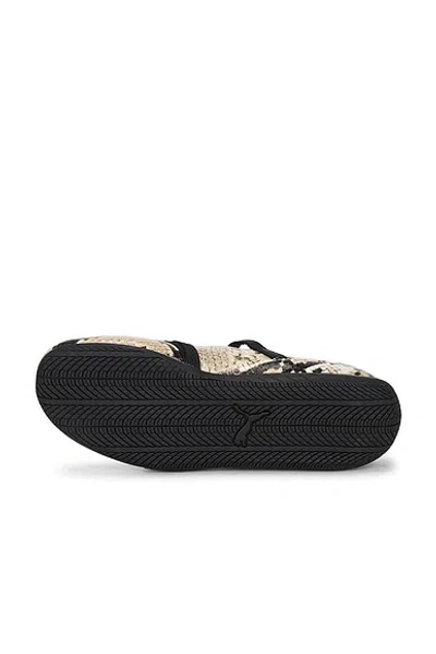 Puma Speedcat Ballet Snake Woman Black And Beige