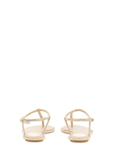 René Caovilla Diana Flip Flops Low Sandals With Crystals 10 Shoes In Grey