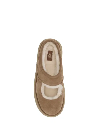 Ugg Suede Slippers With Plush Mutton Lining In Brown
