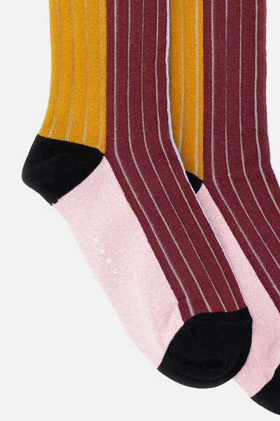 Marni Socks In Multi