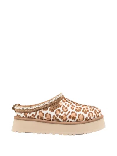 Ugg Tazz Plains Slippers Felicity Leopard Jasmine In Multi