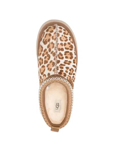 Ugg Tazz Plains Slippers Felicity Leopard Jasmine In Multi