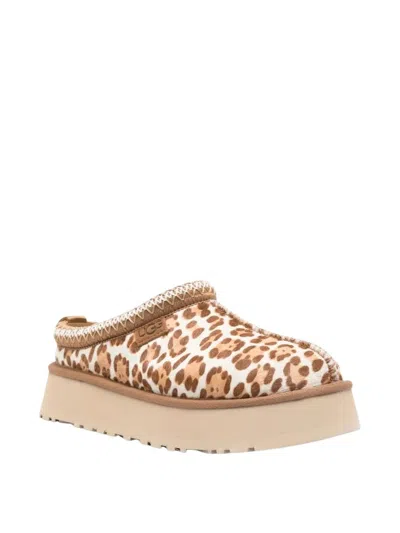 Ugg Tazz Plains Slippers Felicity Leopard Jasmine In Multi