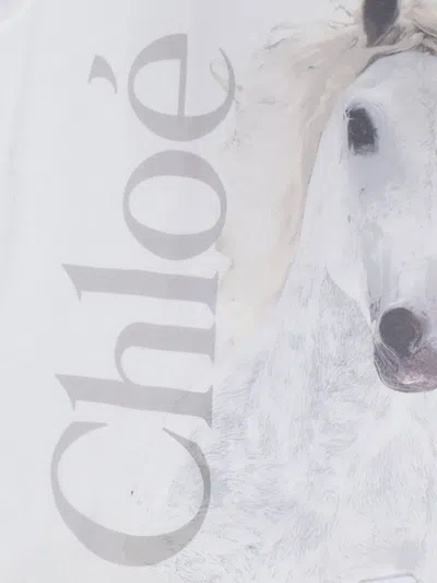 Chloé Cotton Crew Neck Graphic Short Sleeve T-shirt In White